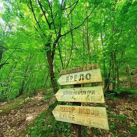 公寓 Grza Paraćin