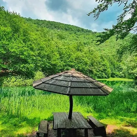 公寓 Grza Paraćin