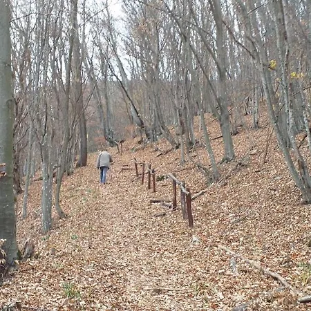 公寓 Grza Paraćin