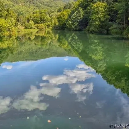 Grza Paraćin