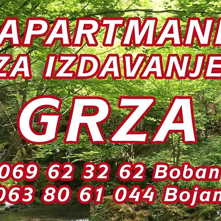 Grza * Paracin