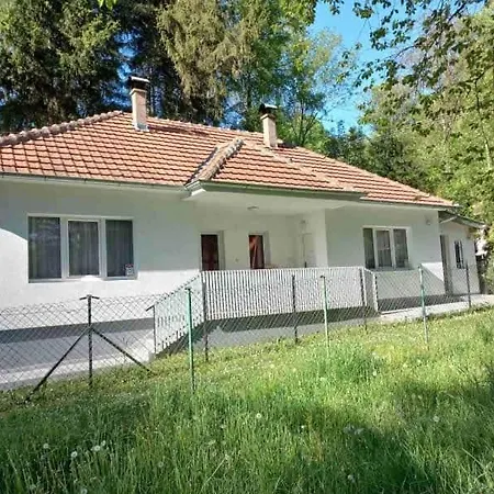 Grza