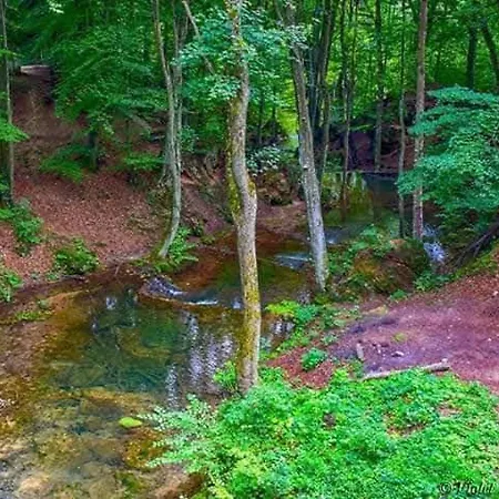 公寓 Grza Paraćin