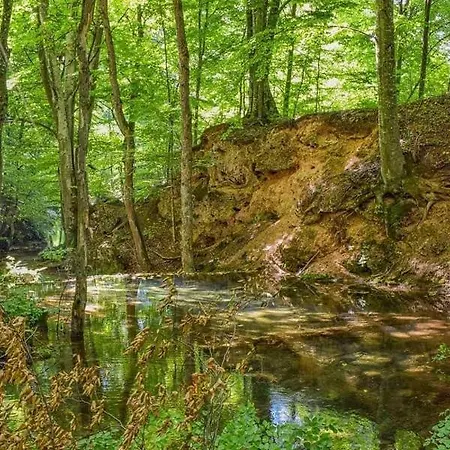 Grza 公寓 Paraćin