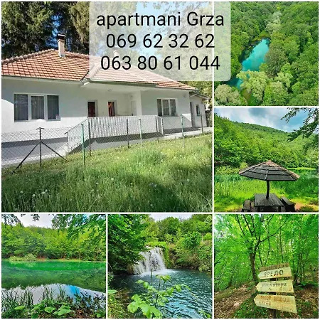 Grza *