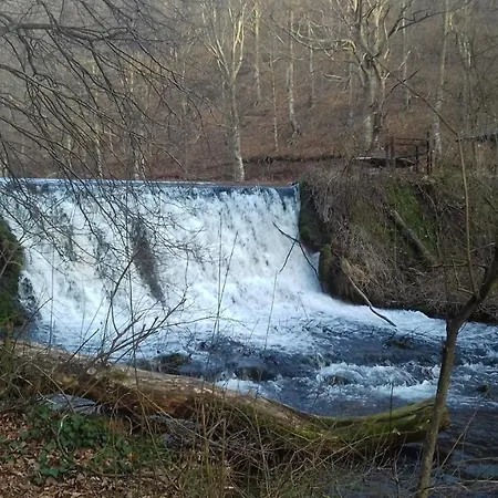 Grza