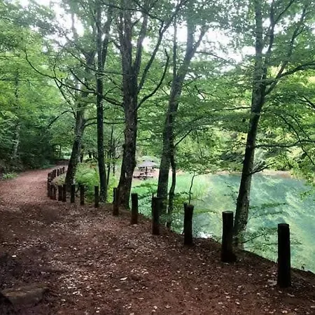 Grza 公寓 Paraćin