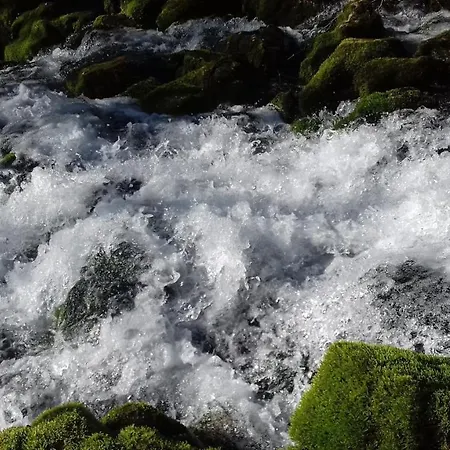 公寓 Grza Paraćin