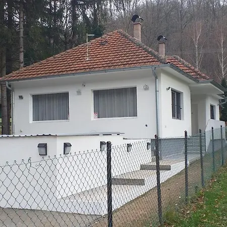 Grza